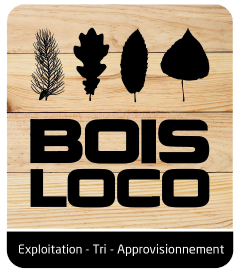 Logo Boisloco