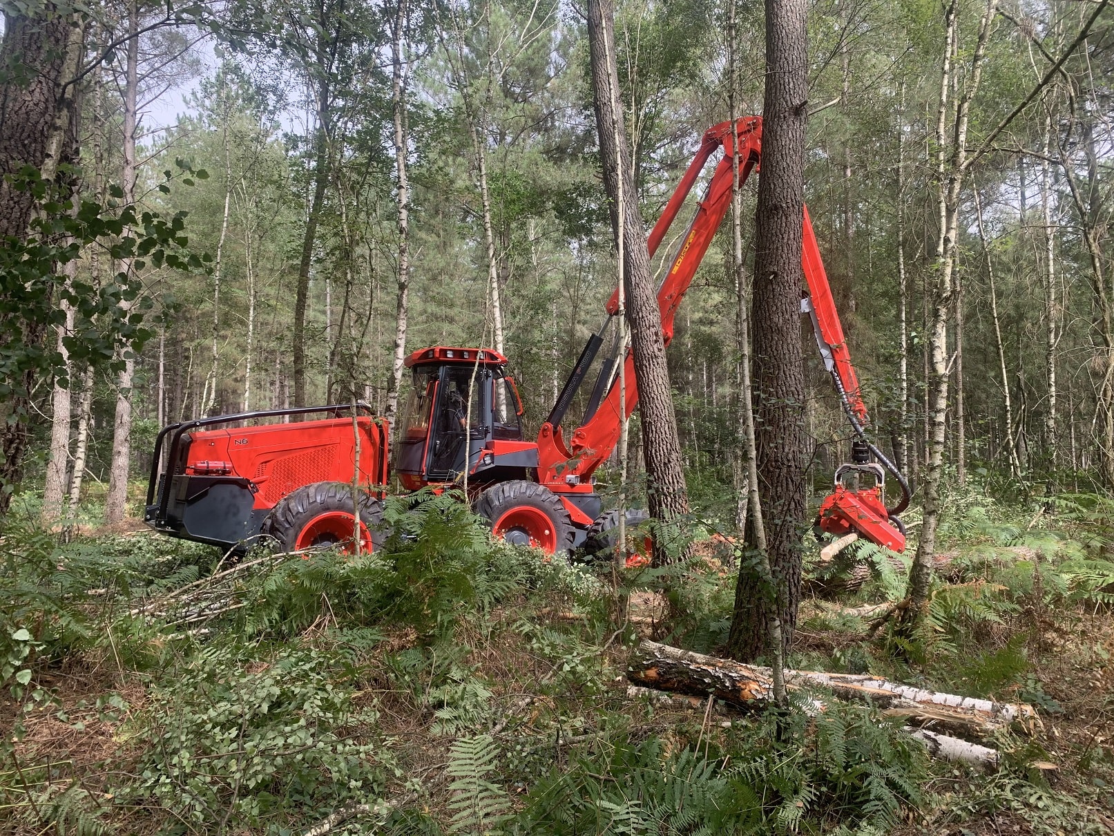 Nouvelle machine Bois Loco